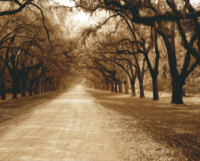 Savannah Oaks Ii by Alan Hausenflock Pricing Limited Edition Print image