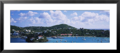 Sailboats In The Sea, Cruz Bay, St. John, Us Virgin Islands by Panoramic Images Pricing Limited Edition Print image