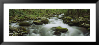 Stream Flowing Through The Forest, Great Smoky Mountains National Park, Tennessee, Usa by Panoramic Images Pricing Limited Edition Print image