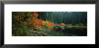 Pond In Forest In Autumn by Panoramic Images Pricing Limited Edition Print image