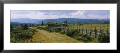 Farmhouses In A Field, Gudbrandsdalen, Oppland, Norway by Panoramic Images Pricing Limited Edition Print image