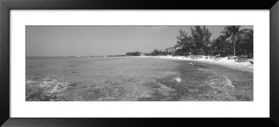 West Indies, Cayman Islands, Grand Cayman, Caribbean Sea, Trees On The Seven Mile Beach by Panoramic Images Pricing Limited Edition Print image