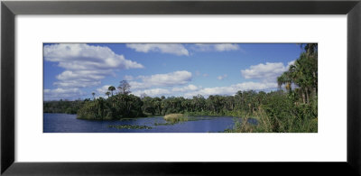 Clouded Sky Over A River, Caloosahatchee River, Lee County Regional Park, Florida, Usa by Panoramic Images Pricing Limited Edition Print image