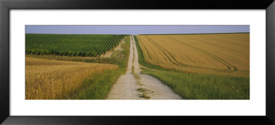 Dirt Road Passing Through A Wheat Field, Chablis, France by Panoramic Images Pricing Limited Edition Print image