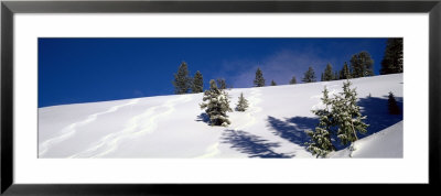 Jackson Hole, Wyoming, Usa by Panoramic Images Pricing Limited Edition Print image