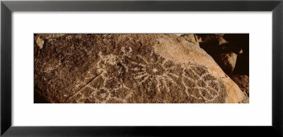 Petroglyphs On A Rock, Saguaro National Park, Tucson, Arizona, Usa by Panoramic Images Pricing Limited Edition Print image