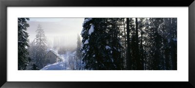 Snowcapped Lodge In The Forest, Yoho National Park, British Columbia, Canada by Panoramic Images Pricing Limited Edition Print image