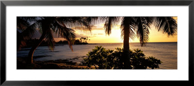Kohala Coast, Hawaii, Usa by Panoramic Images Pricing Limited Edition Print image