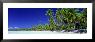 Beach With Palm Trees, Bora Bora, Tahiti by Panoramic Images Pricing Limited Edition Print image