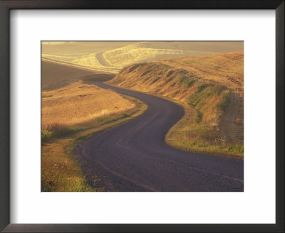 Gravel Road Through Wheat And Pea Fields, Eastern Washington, Usa by Darrell Gulin Pricing Limited Edition Print image