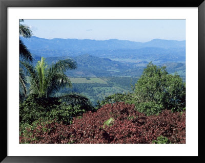 Northern Part Of The Island, Dominican Republic, West Indies, Central America by John Miller Pricing Limited Edition Print image