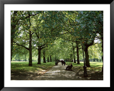 Green Park, London, England, United Kingdom by Ethel Davies Pricing Limited Edition Print image