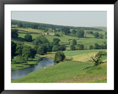 River Wharfe, Barden Bridge Near Bolton, Yorkshire, England, United Kingdom by Adam Woolfitt Pricing Limited Edition Print image