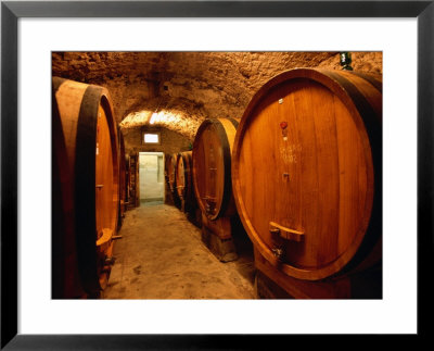 Aging Barrels In Castellina In Chianti Enoteca, Chianti, Tuscany, Italy by John Elk Iii Pricing Limited Edition Print image
