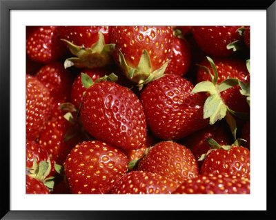 Close-Up Of Fresh Red Strawberries Glistening In The Sun by Brian Gordon Green Pricing Limited Edition Print image