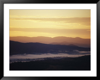 Aerial View Of Wine District With Dawn Mist by Jason Edwards Pricing Limited Edition Print image