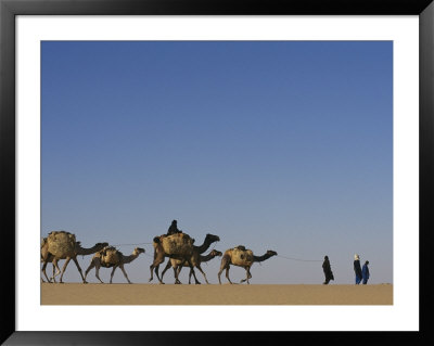 Camel Caravans Cross The Desert To Trade Salt, Sahara Desert, Niger by Michael S. Lewis Pricing Limited Edition Print image