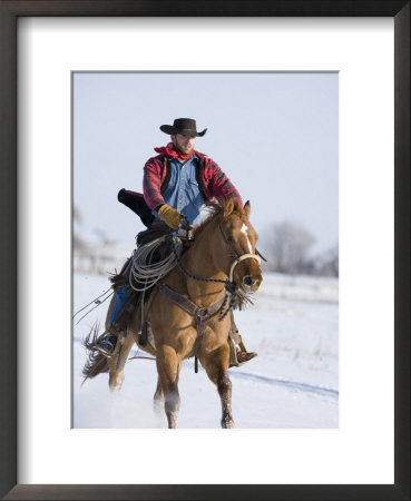 Cowboy Cantering Through Snow On Chestnut Red Dun Quarter Horse Gelding, Berthoud, Colorado, Usa by Carol Walker Pricing Limited Edition Print image