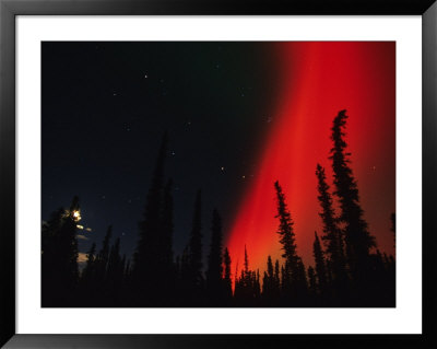 Aurora Borealis In The Night Sky, Alaska by Michael S. Quinton Pricing Limited Edition Print image