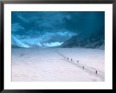 Walking In Columbia Icefield, Jasper National Park, Alberta, Canada by Walter Bibikow Pricing Limited Edition Print image