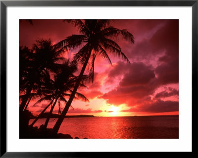 Palms And Sunset At Tumon Bay, Guam by Bill Bachmann Pricing Limited Edition Print image