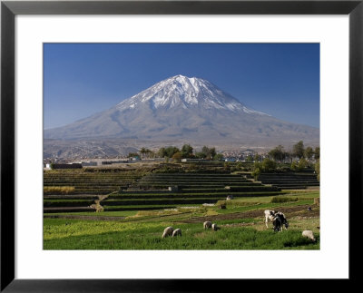 El Misti Volcano And Arequipa Town, Peru by Michele Falzone Pricing Limited Edition Print image