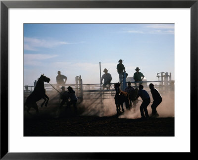 People And Horses At Rodeo, Queensland, Australia by John Borthwick Pricing Limited Edition Print image