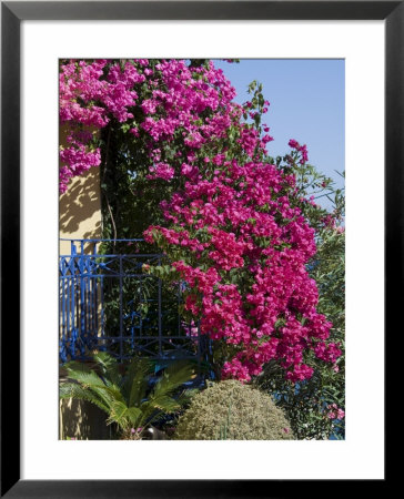 Bougainvillea, Greece by R H Productions Pricing Limited Edition Print image