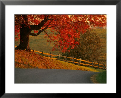 Country Lane, Faquier County, Virginia, Usa by Kenneth Garrett Pricing Limited Edition Print image