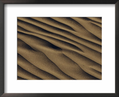 Close-Up Of A Sparkling Sand Dune by David Boyer Pricing Limited Edition Print image