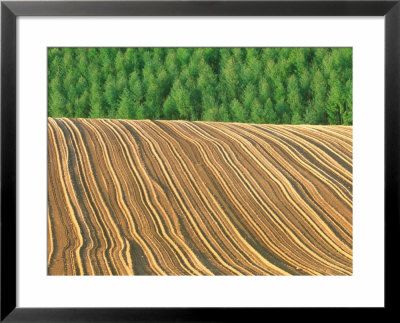 Farm Field After Plowing, Biei, Hokkaido, Japan by Rob Tilley Pricing Limited Edition Print image