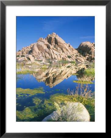 Barker Dam, Joshua Tree National Park, California, Usa by Rob Tilley Pricing Limited Edition Print image