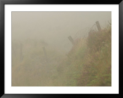 Ireland, Foggy Countryside by Keith Levit Pricing Limited Edition Print image