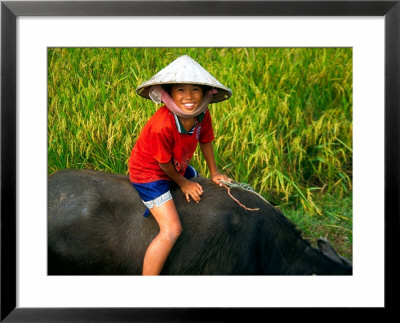 Boy Riding Water Buffalo, Mekong Delta, Vietnam by Keren Su Pricing Limited Edition Print image