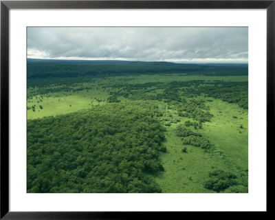 An Aerial View Of Lush Grasslands And Forest by Klaus Nigge Pricing Limited Edition Print image