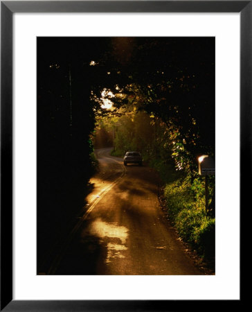 Ccar Travelling Winding Road In Foothills Of Tantalus, Honolulu, Oahu, Hawaii, Usa by Lawrence Worcester Pricing Limited Edition Print image
