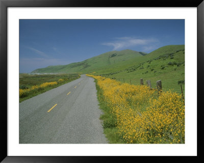 A View Along Highway 1, North Of San Francisco by George F. Mobley Pricing Limited Edition Print image