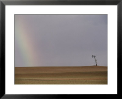 A Rainbow Touches A Barren Landscape Interrupted By A Solitary Tree by Jason Edwards Pricing Limited Edition Print image