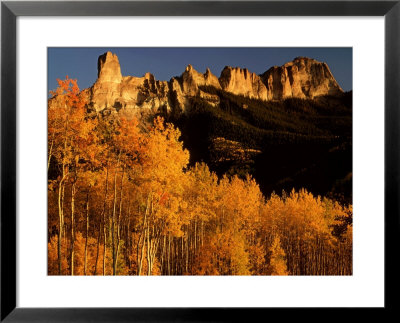Grove Of Aspen Trees Below Chimney Rock, Colorado by Willard Clay Pricing Limited Edition Print image