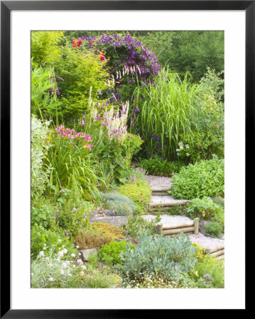 Gravel And Wood Steps Leading Up Through Informal Summer Border by Mark Bolton Pricing Limited Edition Print image