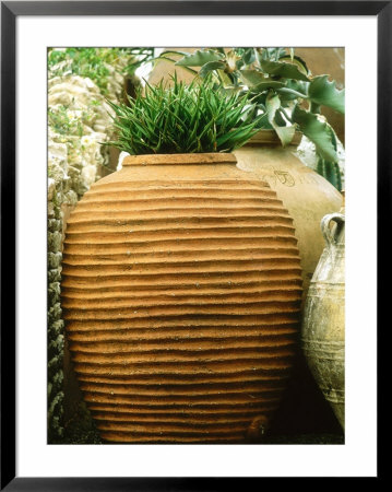 Large Ridged Clay Pot With Aloe, Chelsea Flower Show 1997 by Georgia Glynn-Smith Pricing Limited Edition Print image
