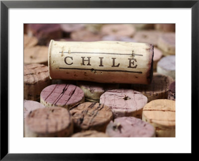 Wine Corks From Chile by Frank Tschakert Pricing Limited Edition Print image