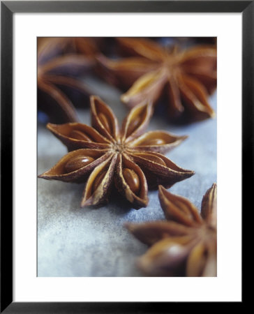 Star Anise by Maja Smend Pricing Limited Edition Print image