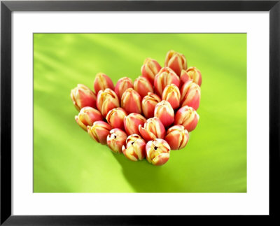 Heart Of Tulips by Klaus Arras Pricing Limited Edition Print image