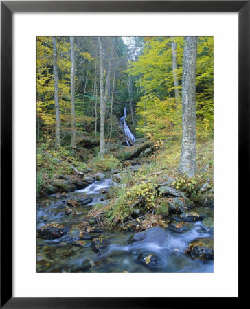 Moss Glen Falls, Green Mountain National Forest, Vermont, Usa by Fraser Hall Pricing Limited Edition Print image