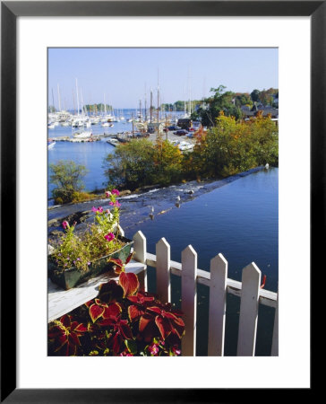 Camden Harbor, Maine, Usa by Fraser Hall Pricing Limited Edition Print image