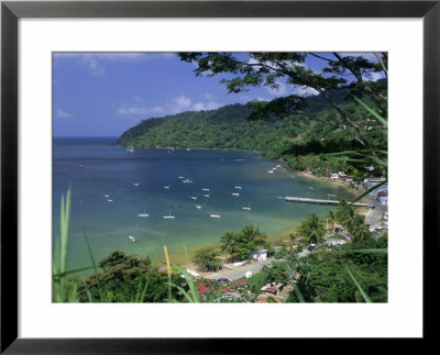 Charlotteville, Tobago, Trinidad And Tobago, Caribbean, West Indies, Central America by G Richardson Pricing Limited Edition Print image