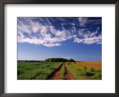 Meadow Bank, Prince Edward Island, Canada by Walter Bibikow Pricing Limited Edition Print image
