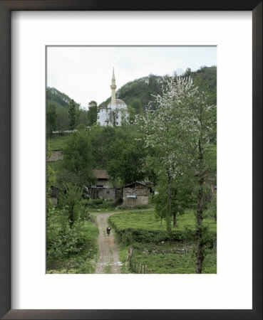 Tea Plantations And Almond Blossom In Coastal Region, Trabzon Area, Anatolia, Turkey by Adam Woolfitt Pricing Limited Edition Print image