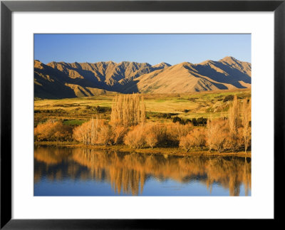 Glendhu Bay, Lake Wanaka, Wanaka, Central Otago, South Island, New Zealand, Pacific by Jochen Schlenker Pricing Limited Edition Print image